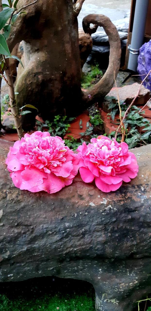 Lushan Xiangting Tea Homestay 런아이 외부 사진